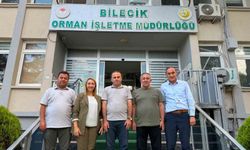 Orman yangınlarına karşı kritik mesai