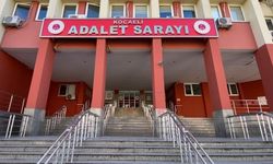 Ot biçme kavgasında 78 yaşındaki kuzenini ağır yaralayan sanığa 20 yıla kadar hapis talebi