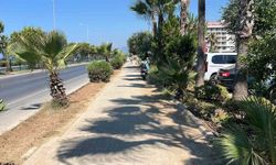 Otelin önüne bıraktığı motosikleti sabah göremeyince hırsızlığı güvenlik kamerasından gördü