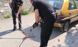 Otomobilin altına giren yılan itfaiye ekiplerince çıkarıldı
