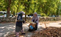 Park Bahçeler Müdürlüğü'nden Karacabey genelinde yoğun mesai