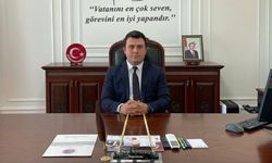 Patnos Kaymakamı Dertlioğlu: 'Başıboş sokak köpeklerinin toplanmasında ciddi mesafe katettik'