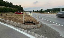 Samsun'da köpeğe çarpan motosikletteki sürücü ve yolcu yaralandı