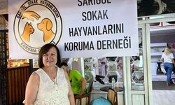 Sarıgöl'de sahipsiz hayvanlara umut oluyorlar