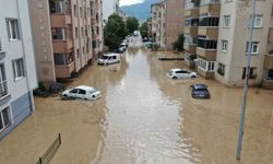 Selin vurduğu ilçe havadan görüntülendi