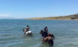 Sıcaktan bunalan gençler atlarıyla Van Gölü'nde serinledi