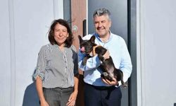 Şiddet gören köpeği Başkan Mesut Akbıyık sahiplendi