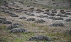 Şırnak'ta kış hazırlığı başladı