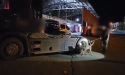 Şırnak'ta zehir yüklü tır uygulama noktasında yakalandı
