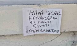 Sokak hayvanlarının su kabını atanlara ilginç tepki: 'Atan zındıktır'