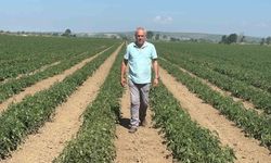 Sözleşme yaptığı firma ürünü almayınca 20 milyon lira zarar etti
