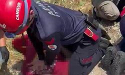 Sulama kanalındaki faciada acı detay: Yeni aldığı otomobili eşi deniyormuş