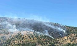 Sultanhisar'daki yangına havadan ve karadan müdahale sürüyor