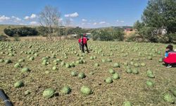 Süper hücre Tekirdağ'ı vurdu: 4 köy zarar gördü