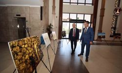 Tahmazoğlu'nda 15 Temmuz gecesi yaşananları ölümsüzleştiren İHA'ya teşekkür