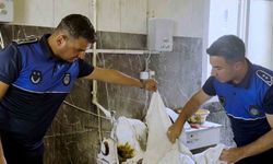 Tarsus'ta fırın denetimlerinde haşereli hamur tespit edildi