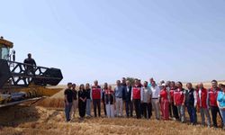 Tekirdağ'da bitkisel yağ üretiminde gıda güvenliği mercek altında
