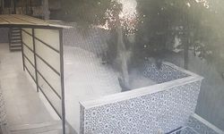 Tekirdağ'da tırın çarptığı elektrik direği cami avlusuna devrildi: O anlar kameraya yansıdı