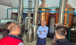 Tıbbi aromatik bitki üretimi için saha çalışmaları sürüyor