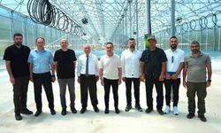 TOGÜ tohumluk patates üretimine başlıyor