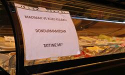 Türkülere konu olan madımakın dondurmasını yaptılar