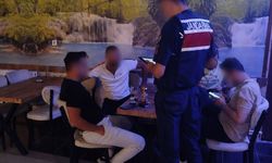 Umuma açık iş yerlerine alkol denetimi