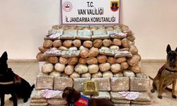 Van'da 333 kilo skunk ele geçirildi