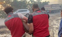 Yangın bölgesindeki hayvanlar güvenli alanlara tahliye edildi