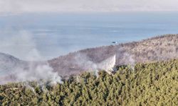 Yangının boyutu gün ağarınca ortaya çıktı: Alevler Kaplankaya'ya dayandı, bin 120 kişi tahliye edildi