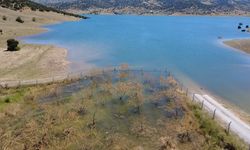 Yozgat'ta badem ağaçları sular altında kaldı