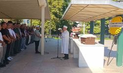Zonguldak'ta yaşlı çiftin hayatını kaybettiği kazada tır şoförüne adli kontrol