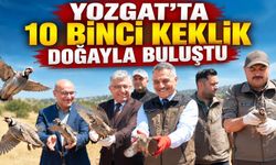 Yozgat'ta 10 Binci Keklik Doğayla Buluştu