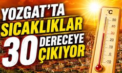 Yozgat'ta Sıcaklıklar 30 Dereceye Çıkıyor