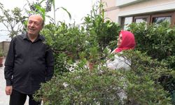 102 saksıyla köy hayatını apartman balkonuna taşıdılar