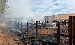 ABD'nin Nevada eyaletindeki orman yangınında 32 ev kül oldu