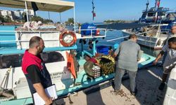 Akçakoca'da balıkçılar sezona hızlı başladı