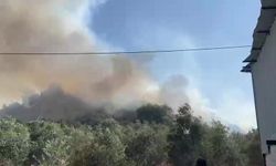 Aksu'da ormanlık ve zeytinlik alanda yangın
