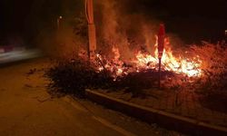Alaca'da çıkan örtü yangını söndürüldü