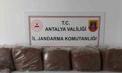 Alanya ve Demre'de 285 kilo kaçak tütün ele geçirildi