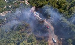 Alanya'da orman yangını 3 saatte kontrol altına alındı