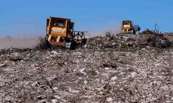 Aliağa ve Foça'daki yanan orman alanlarında ağaçlandırma çalışmaları sürüyor