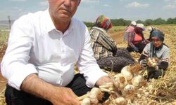 Altun'dan tarım mesajı
