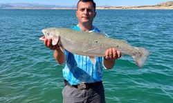 Amatör balıkçı oltayla 5,5 kiloluk alabalık yakaladı