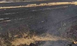 Anız ateşi kontrelden çıktı, bin dönüm otluk alan yandı