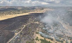 Ankara'da arazi yangını