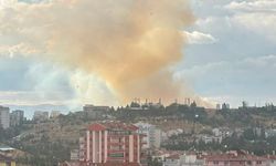 Ankara'da otluk alanda yangın çıktı