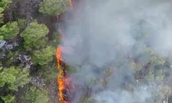 Antalya'da orman yangını