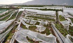 Antalya'da üreticilere 1 yılda 657 bin 400 metrekare sera naylonu hibe edildi