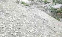 Ardahan'da dolu yağışı etkili oldu