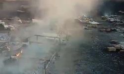 Arılıkta çıkan yangında çok sayıda arı telef oldu